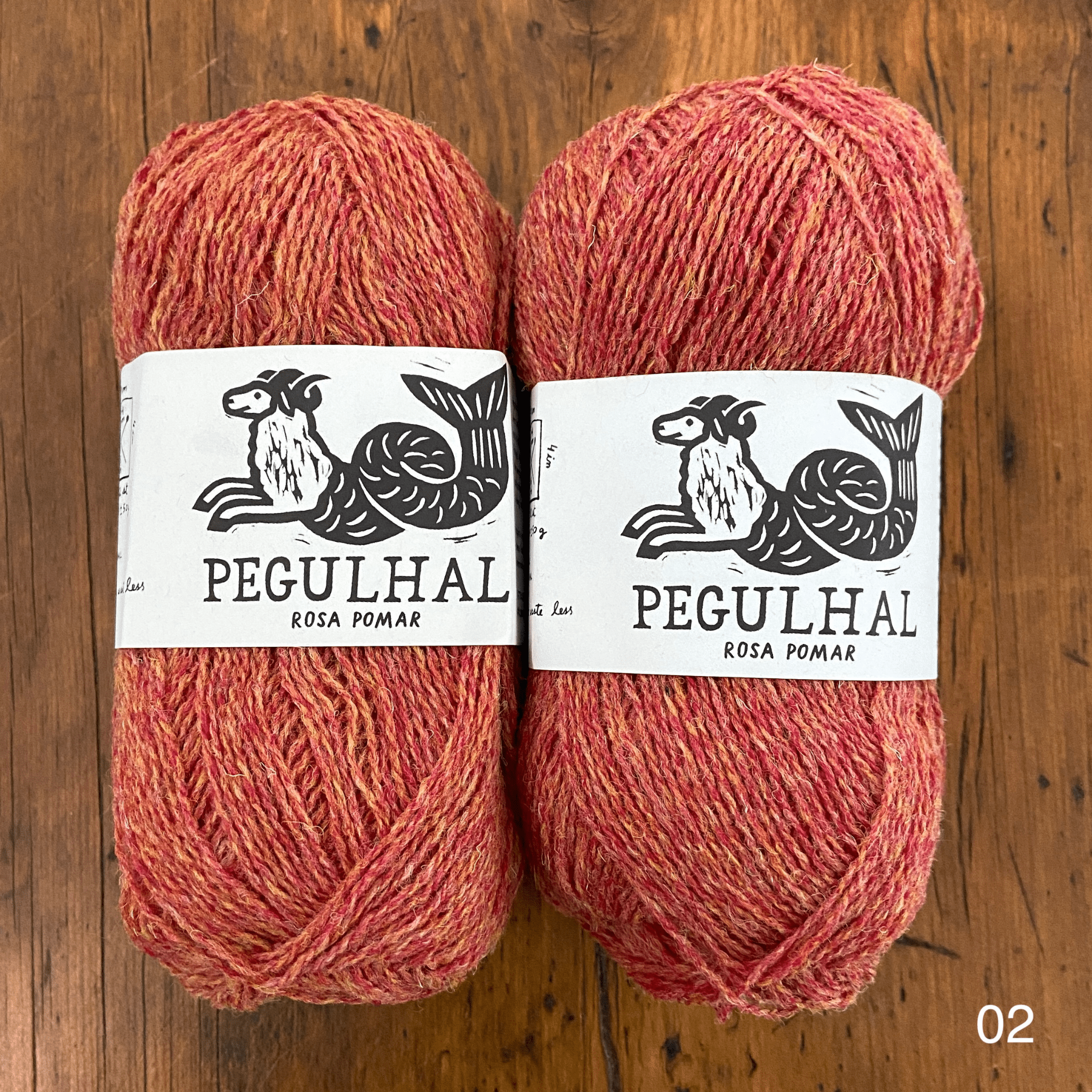 The Woolly Thistle's Retrosaria Pegulhal Fingering Weight Yarn in 02 (salmon)