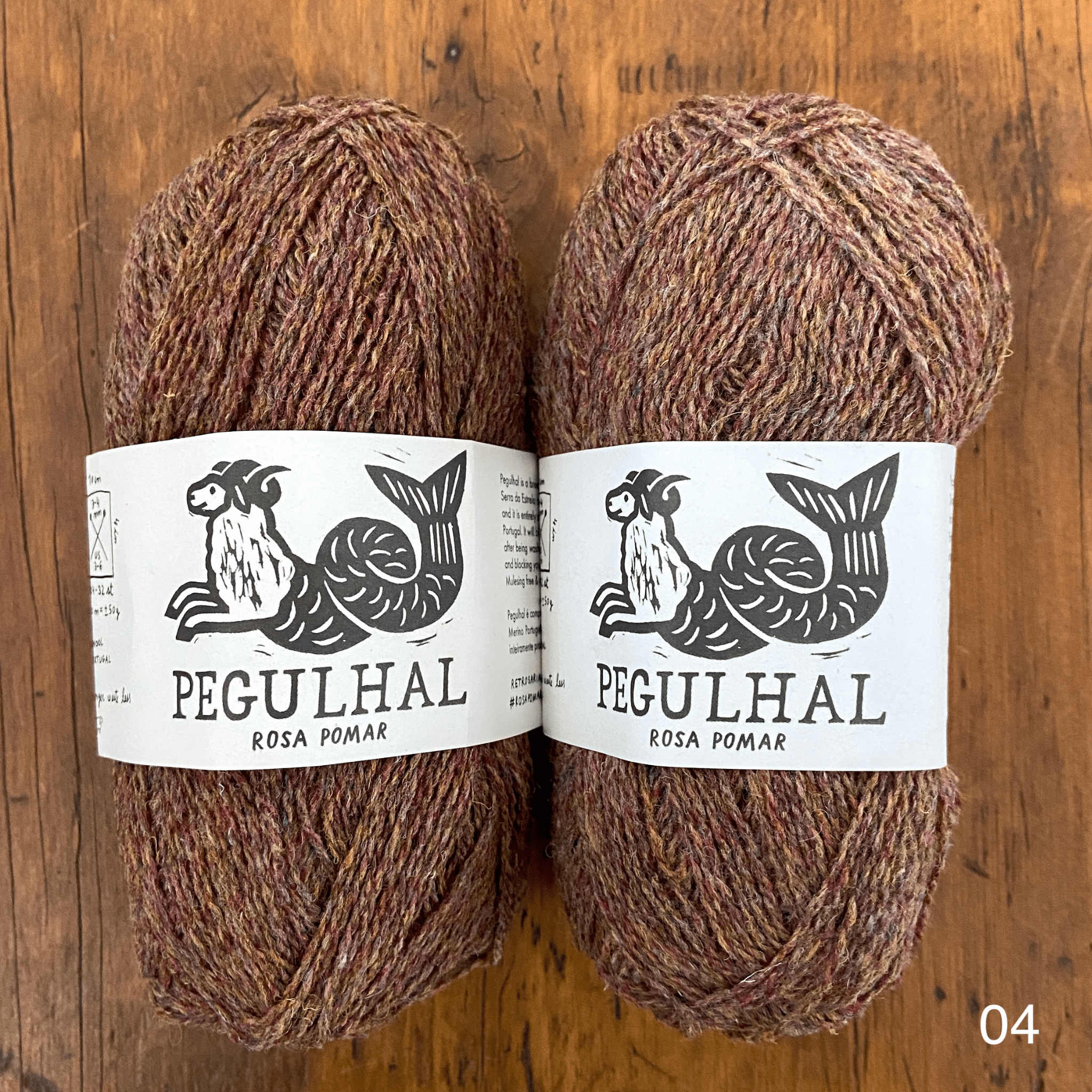 The Woolly Thistle's Retrosaria Pegulhal Fingering Weight Yarn in 04 (burgundy/brown mix)