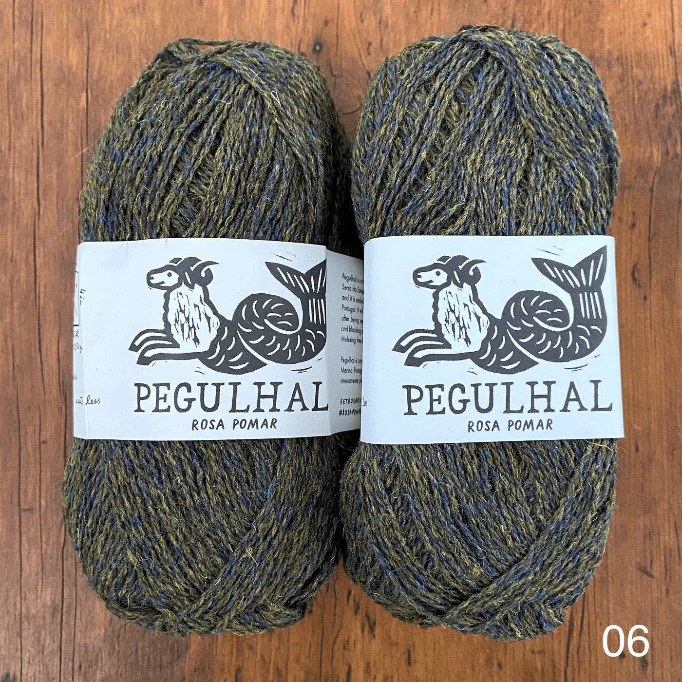 The Woolly Thistle's Retrosaria Pegulhal Fingering Weight Yarn iin 06 (green)