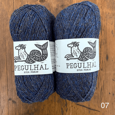 The Woolly Thistle's Retrosaria Pegulhal Fingering Weight Yarn in 07 (blue)