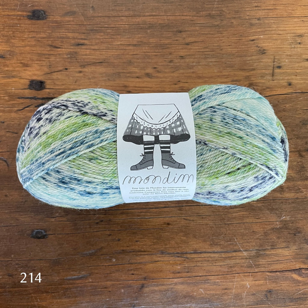 Retrosaria Mondim Fingering weight yarn shown in Color 214 variegated blues and greens. 
