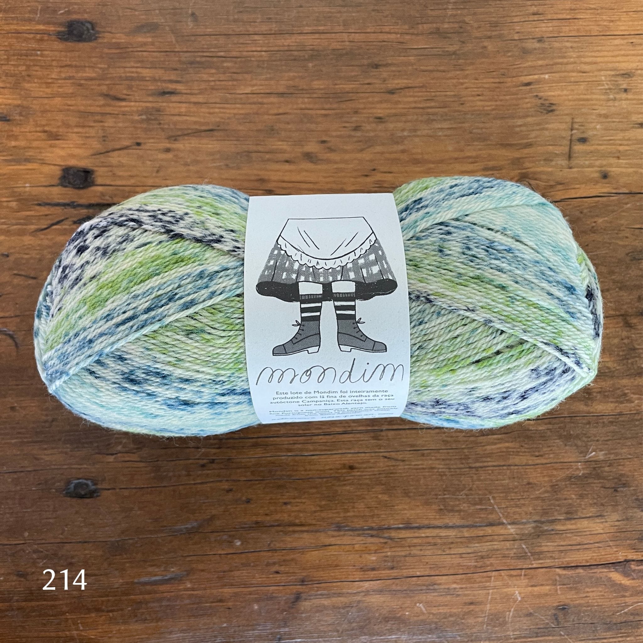 Retrosaria Mondim Fingering weight yarn shown in Color 214 variegated blues and greens. 