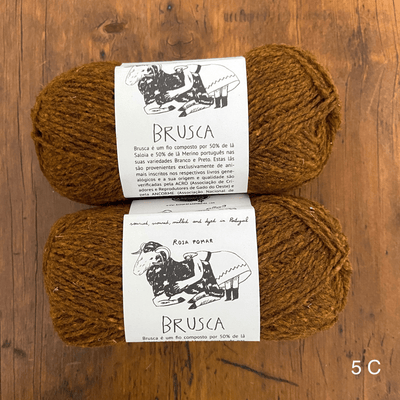The Woolly Thistle Retrosaria Brusca DK Yarn in 5C (brown)