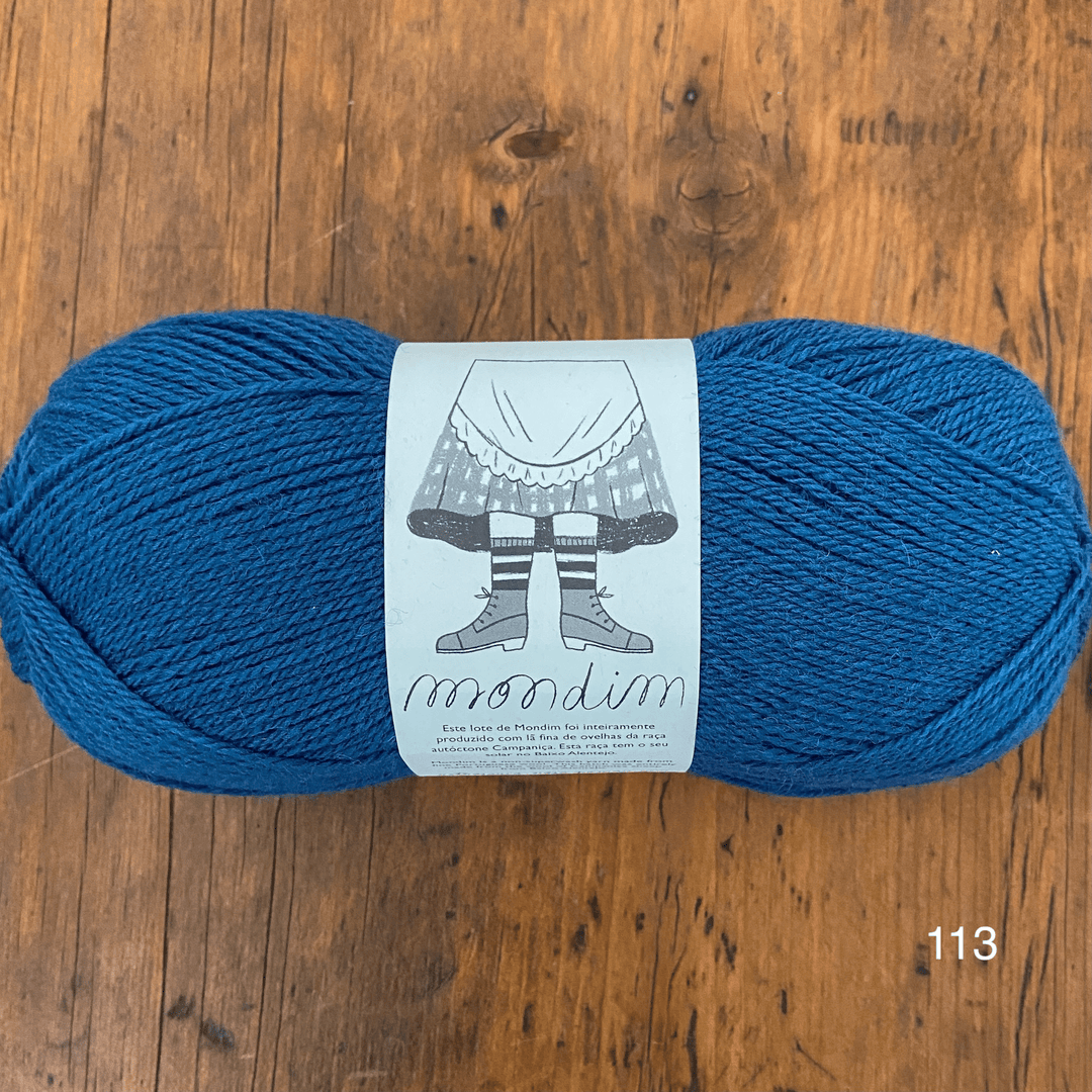 The Woolly Thistle Retrosaria Mondim Fingering Weight Yarn in 113 (blue)