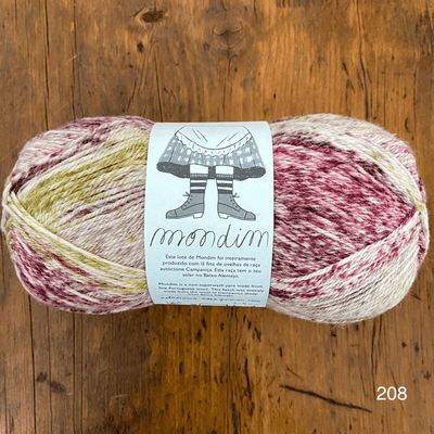The Woolly Thistle Retrosaria Mondim Fingering Weight Yarn in 208 (mix of cream, pink, yellow)