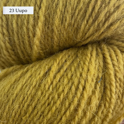 Tukuwool DK Yarn, 100% Finnish Wool shown in colorway 23 Uupo which is a yellow gold color. 