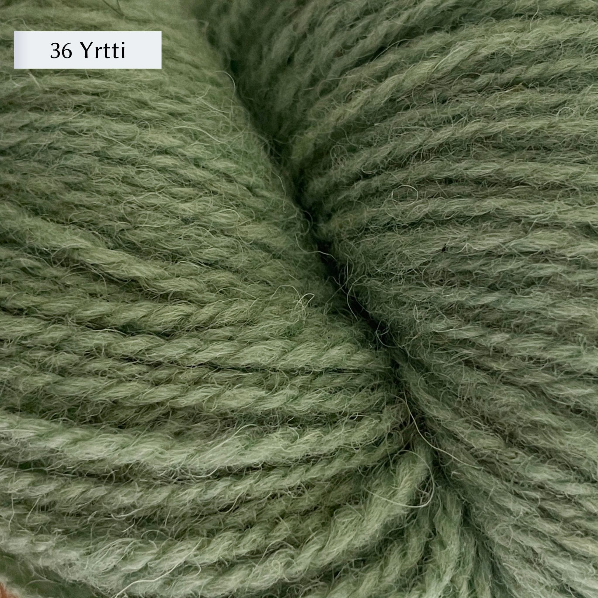 Tukuwool DK Yarn, 100% Finnish Wool shown in colorway  36 Yrtti which is a muted light green color. 