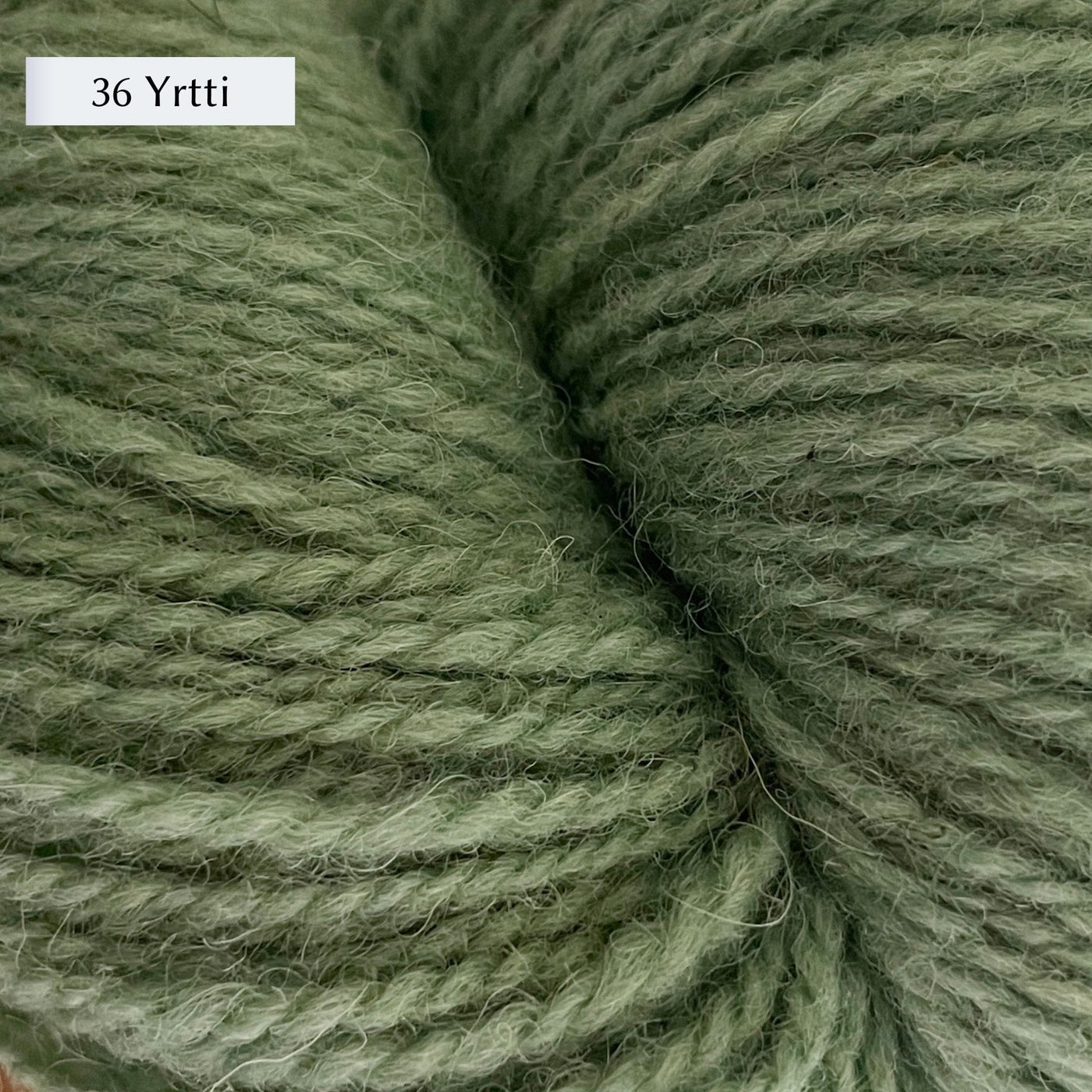Tukuwool DK Yarn, 100% Finnish Wool shown in colorway  36 Yrtti which is a muted light green color. 