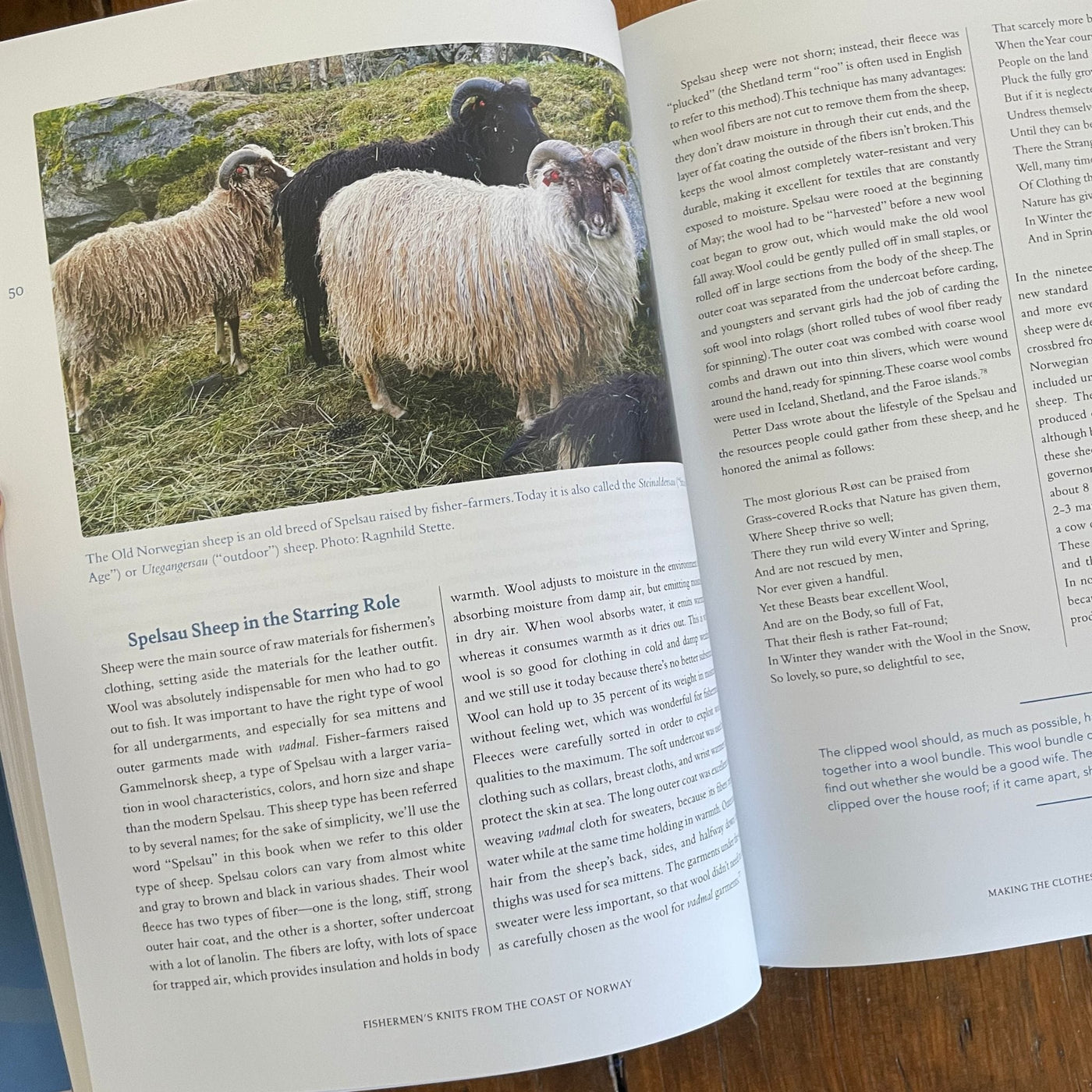 Inside pages of Fishermen's Knits from the Coast of Norway. Pages show a photo of sheep and article with heading "Spelsau Sheep in the Starring Role."
