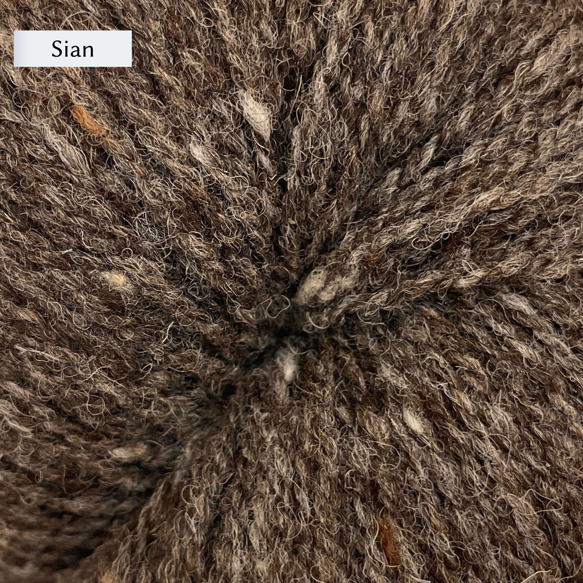 Uist Wool Yarn DK weight in Sian, a brown grey color.