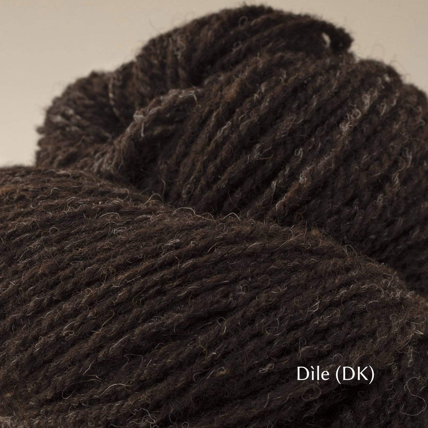 The Woolly Thistle Uist Wool DK yarn in Dile (black)