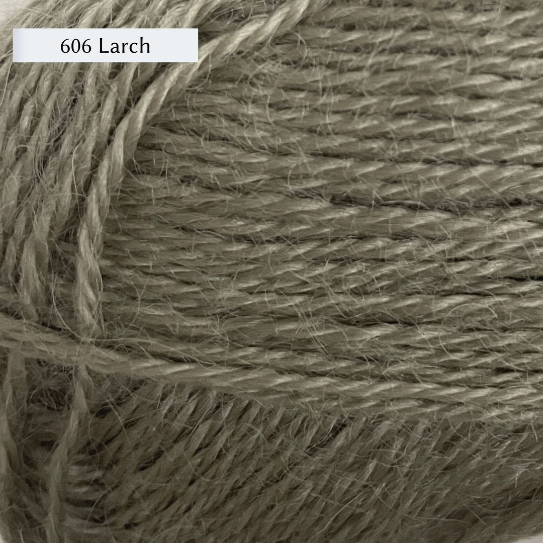 Wensleydale Longwool Sheep Shop 4ply yarn, a fingering weight yarn, in color 606 Larch, a light dusty sage green
