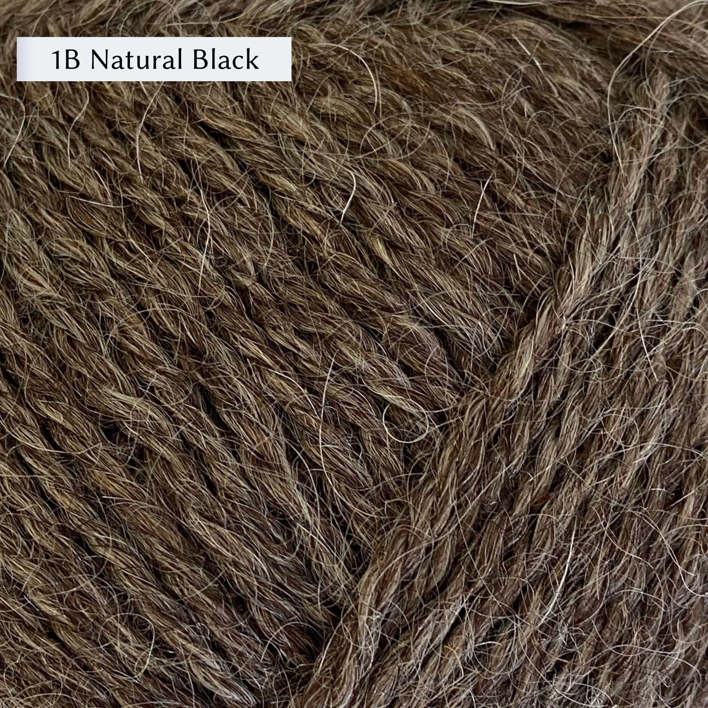 Wensleydale Longwool Aran, an aran weight yarn made from Wensleydale sheep, in color 1B Natural Black, a warm dark chocolate brown