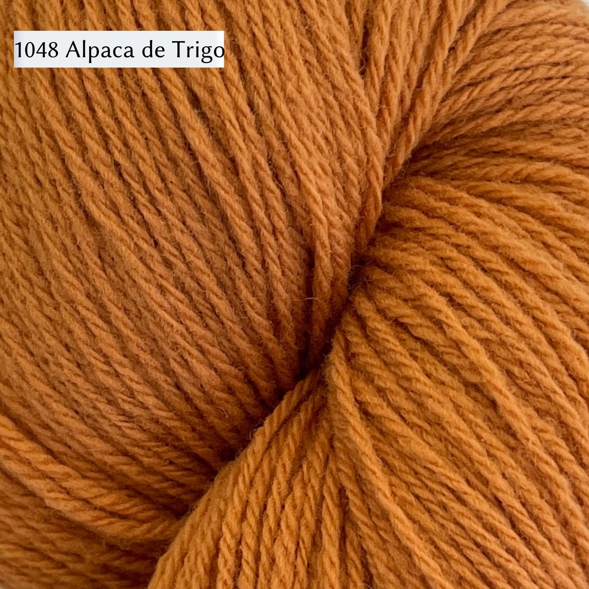 WoolDreamers Dehesa de Barrera, a fingering weight yarn, in color 1048 Alpaca de Trigo, a warm burnt orange