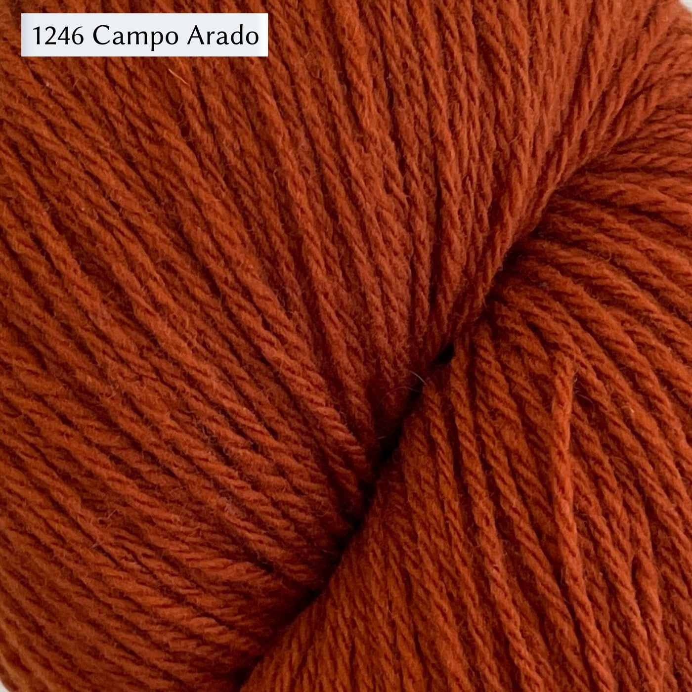 WoolDreamers Dehesa de Barrera, a fingering weight yarn, in 1246 Campo Arado, a russet red