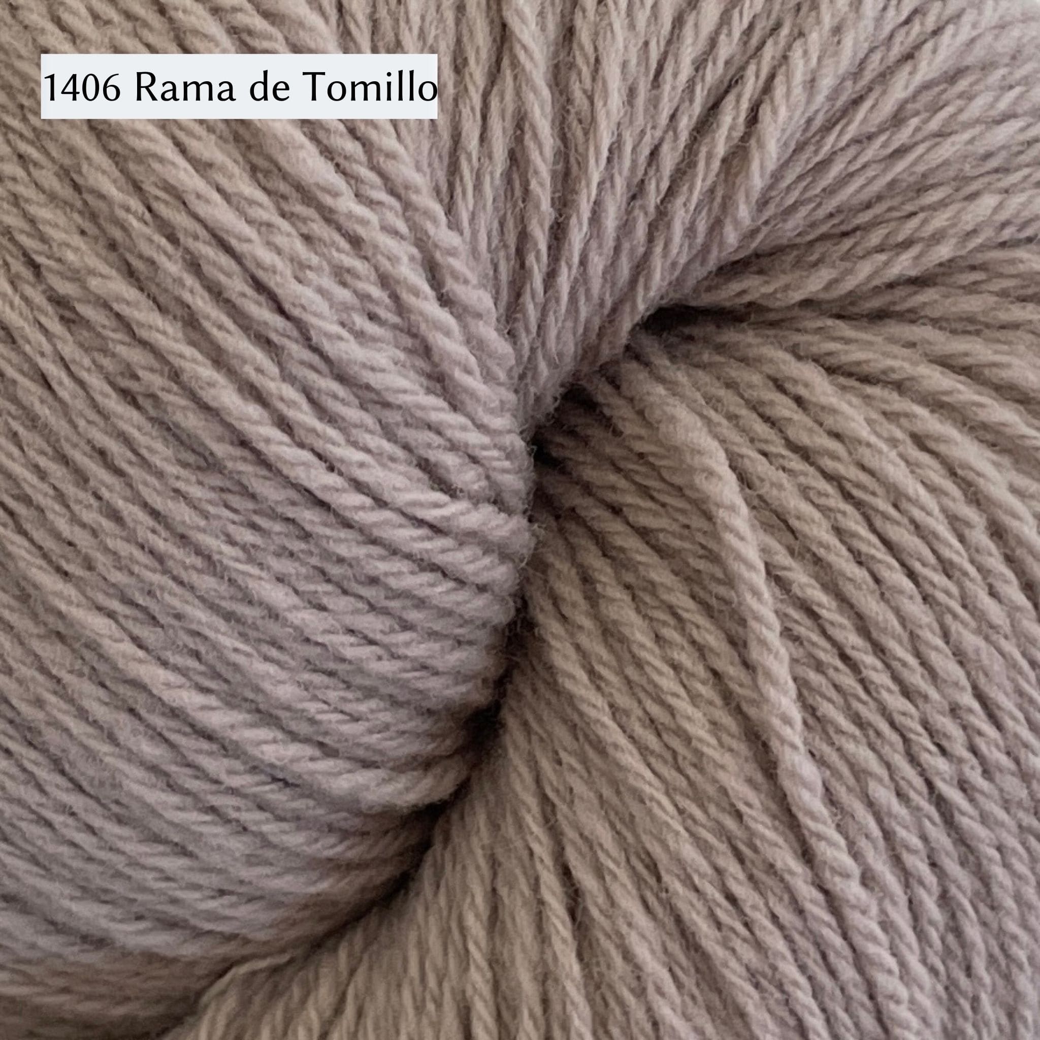 WoolDreamers Dehesa de Barrera, a fingering weight yarn, in 1406 Rama de Tomillo, a dusty warm grey