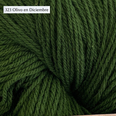 WoolDreamers Dehesa de Barrera, a fingering weight yarn, in 323 Olivo en Diciembre, a pine green
