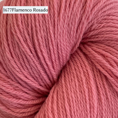 WoolDreamers Dehesa de Barrera, a fingering weight yarn, in 1677 Flamenco Rosado, a saturated light pink
