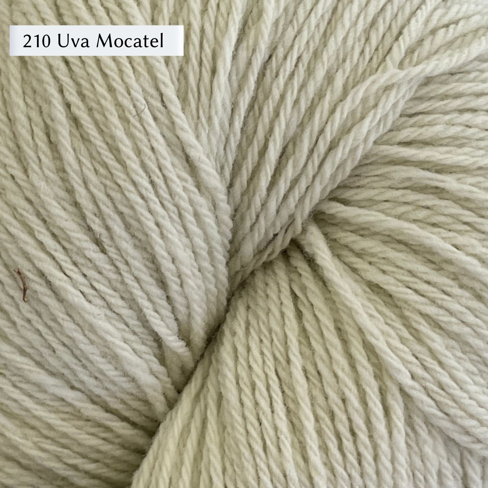 WoolDreamers Dehesa de Barrera, a fingering weight yarn, in color 210 Uva Mocatel, a very light greenish natural