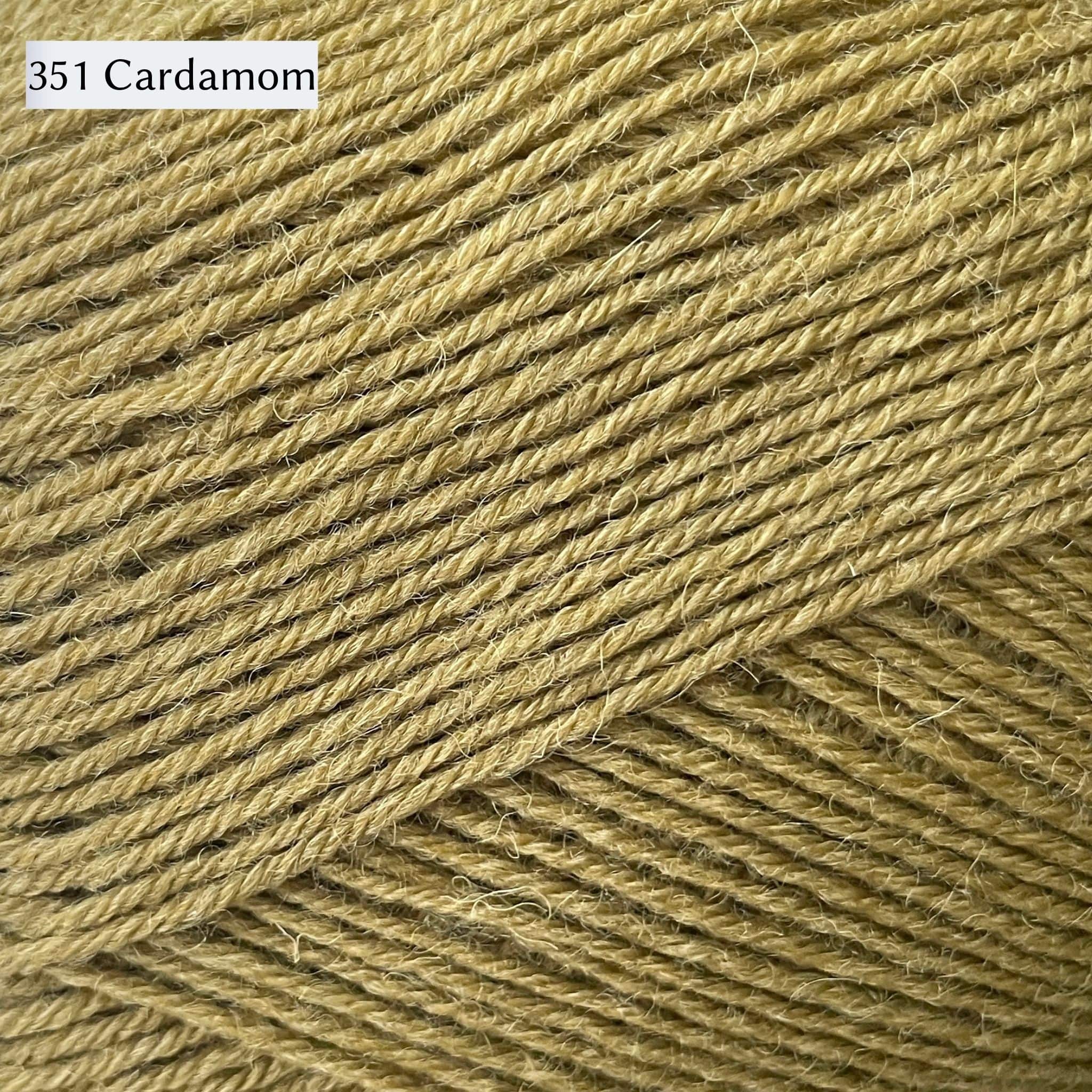 West Yorkshire Spinners Signature 4ply yarn, 100-gram ball, fingering weight, in color 351 Cardamom, a light straw olive green