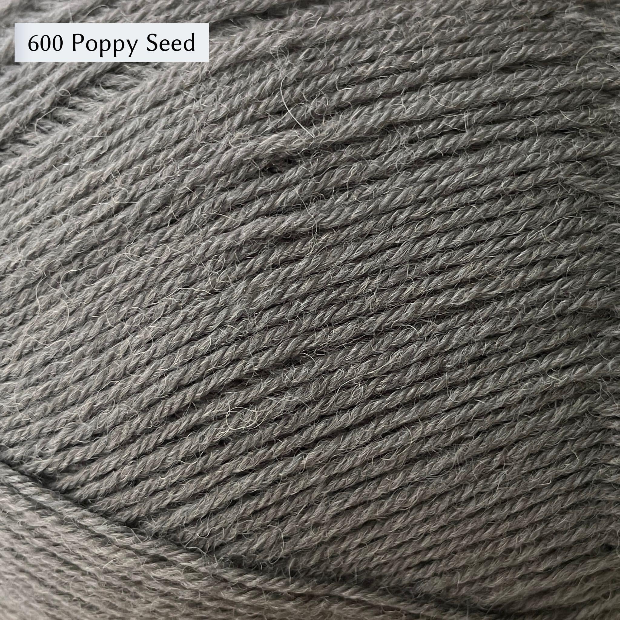 West Yorkshire Spinners Signature 4ply yarn, 100-gram ball, fingering weight, in color 600 Poppy Seed, a light gunmetal grey