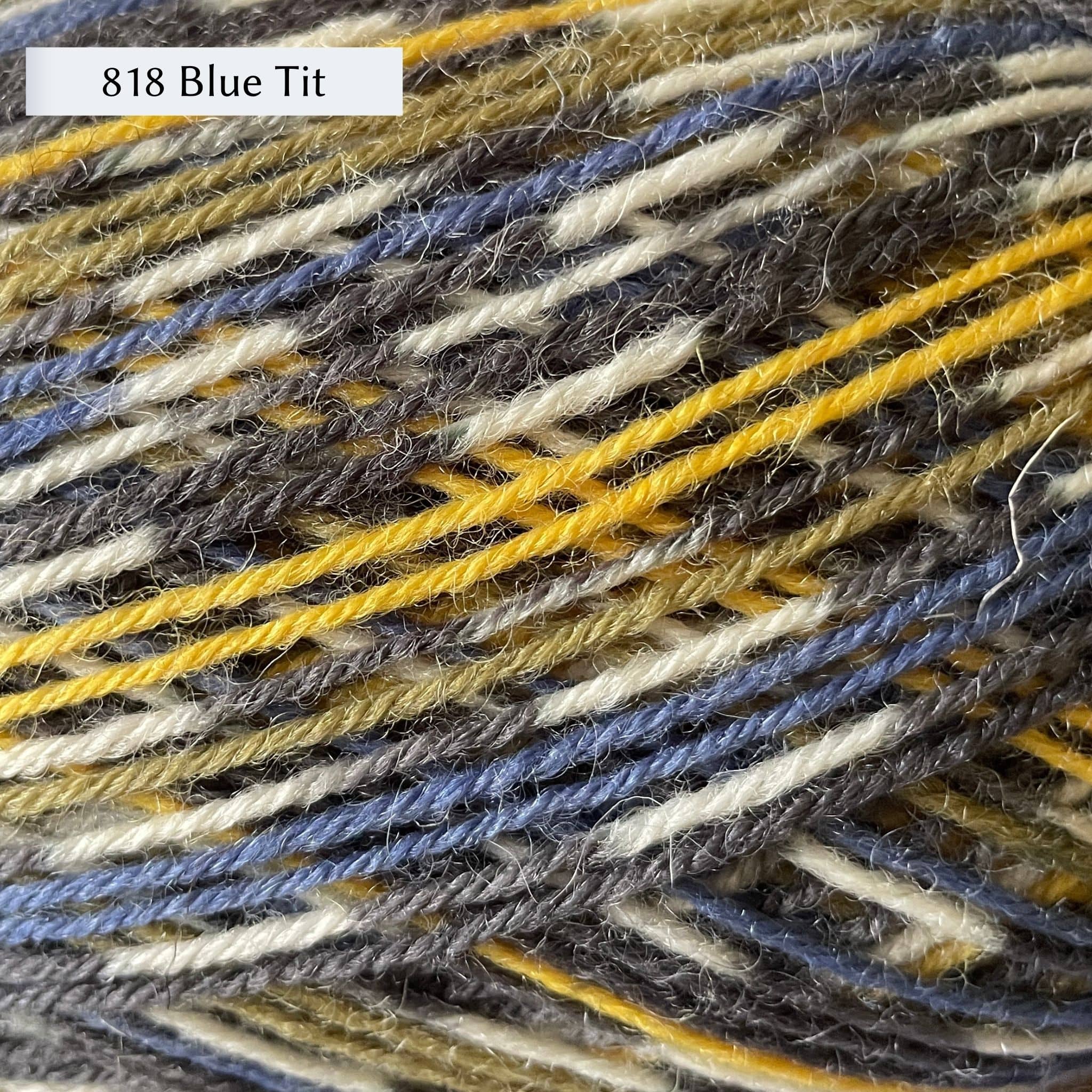 West Yorkshire Spinners Signature 4ply yarn, fingering weight, in color 818 Blue Tit, a bird-inspired self-printing colorway with yellow, blue, and olive green stripes and self-patterning sections with black and white