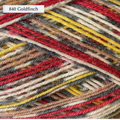 West Yorkshire Spinners Signature 4ply yarn, fingering weight, in color 840 Goldfinch, a bird-inspired colorway with red, gold, white, and tan striped and self-patterning black and white sections