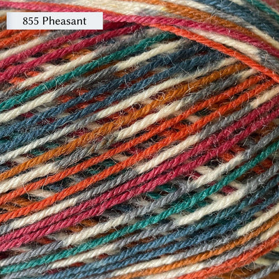 West Yorkshire Spinners Signature 4ply yarn, fingering weight, in color 855 Pheasant, a bird-inspired colorway with stripes of red, orange, copper, blue and teal, with self-patterning section of grey and white