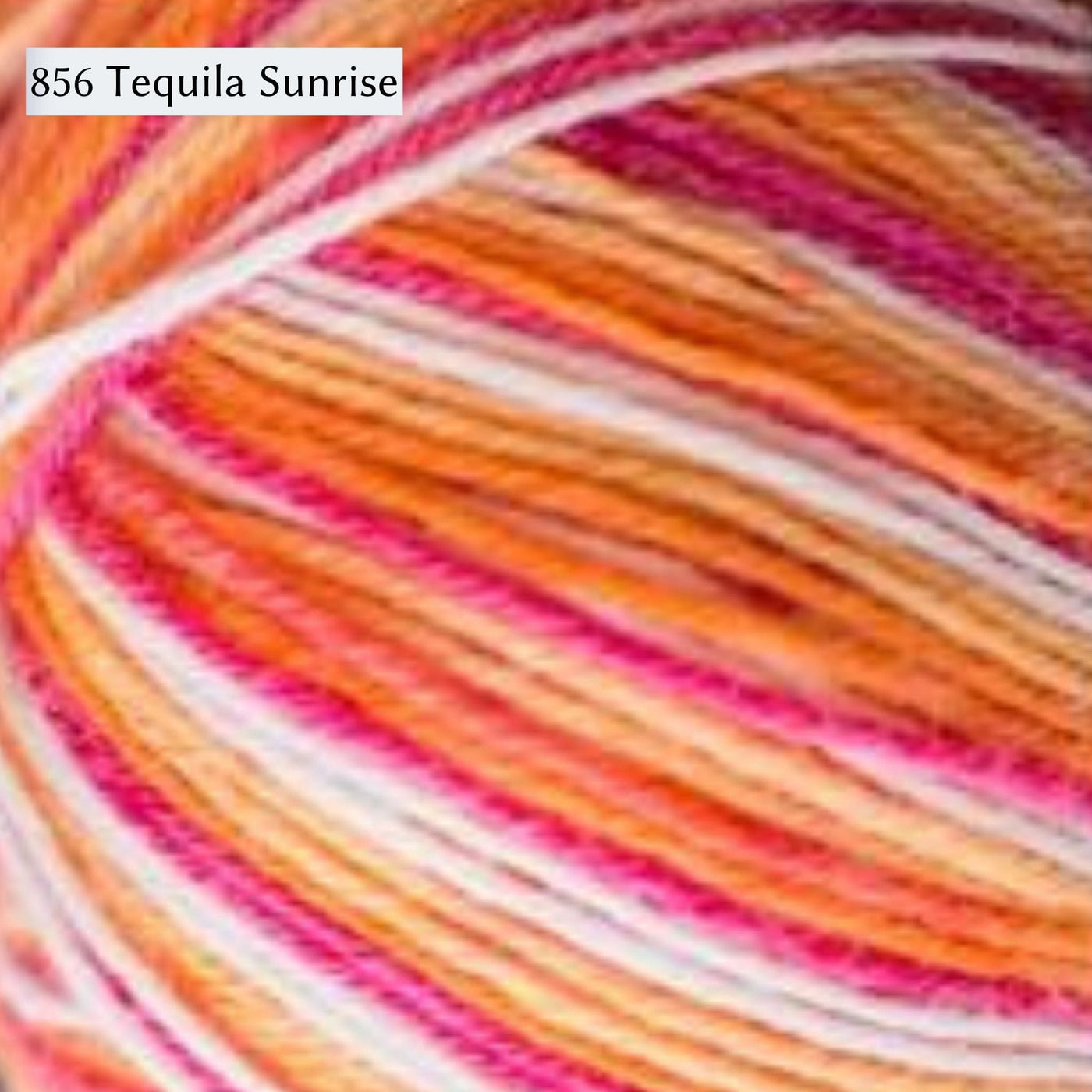 West Yorkshire Spinners Signature 4ply yarn, fingering weight, in color 856 Tequila Sunrise, a striping colorway with white, pink, creamsicle orange and deeper orange. 
