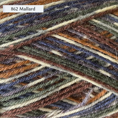 West Yorkshire Spinners Signature 4ply yarn, fingering weight, in color 862 Mallard, a bird-inspired colorway with dark blue, dark green, dark brown, and tan, with a light grey and cream self-patterning section