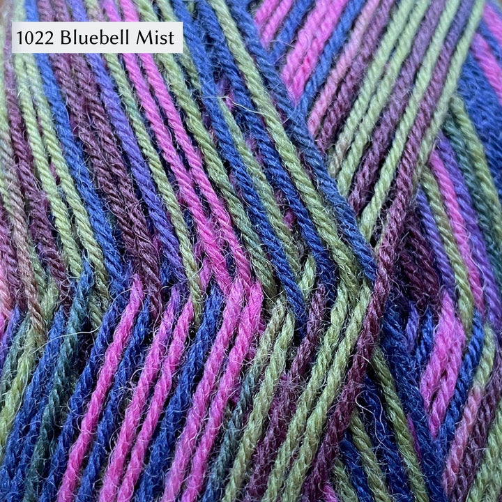 West Yorkshire Spinners Signature 4ply yarn, fingering weight, in color 1022 Bluebell Mist, a multicolor with darker blue and purple with lighter green and pink