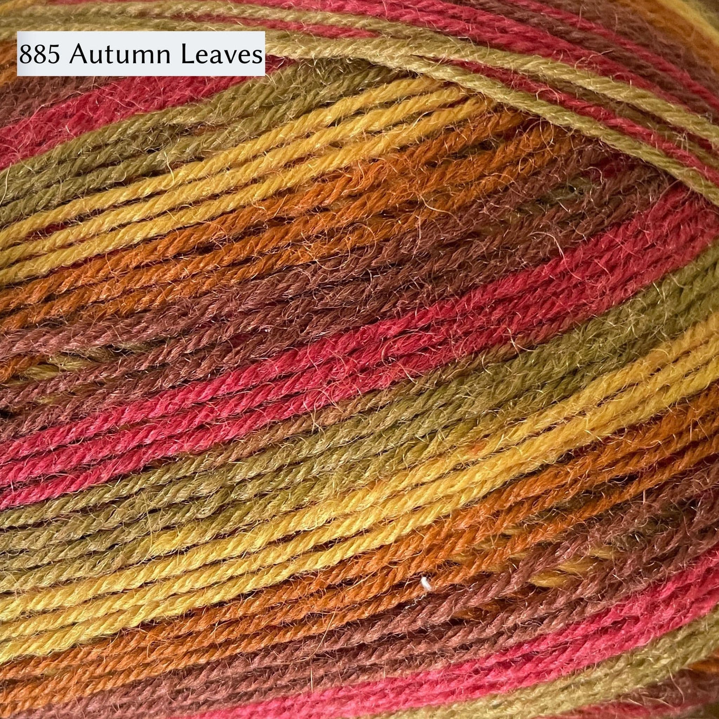 West Yorkshire Spinners Signature 4ply yarn, fingering weight, in color 885 Autumn Leaves, a striping colorway in autumnal colors including mustard, olive, copper, burgundy, and raspberry