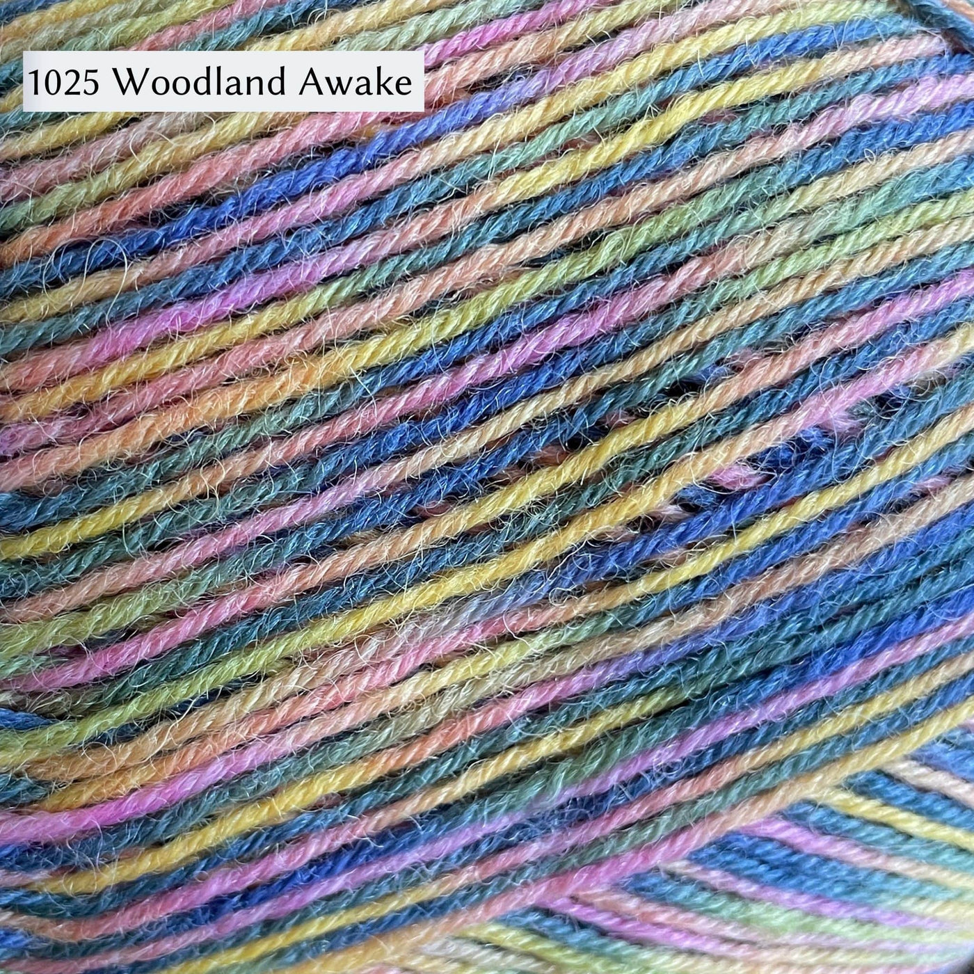 West Yorkshire Spinners Signature 4ply yarn, fingering weight, in color 1025 Woodland Awake, a pastel multicolor with light blues, greens, yellows, and pinks in blended stripes